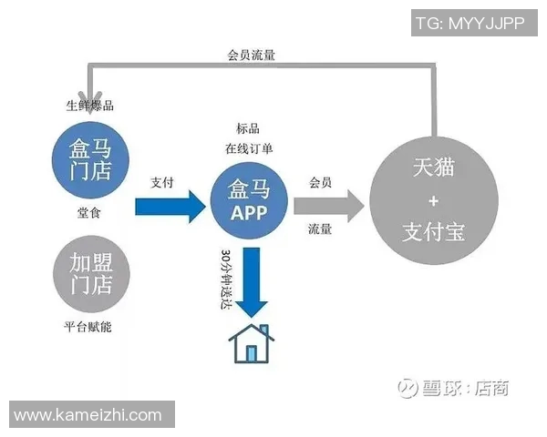 深入分析杭州羽毛球队的运营策略与发展模式探讨
